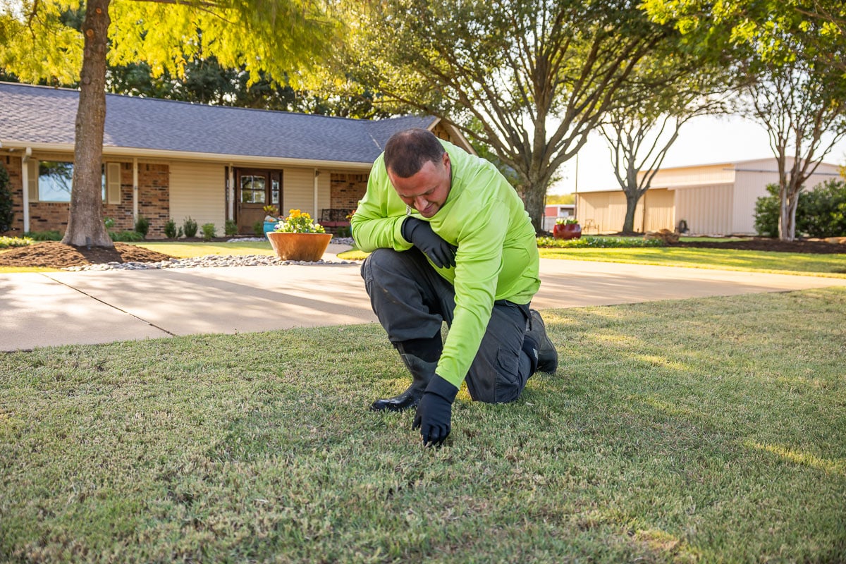 Crew inspection lawn care treatment spraying green lawn