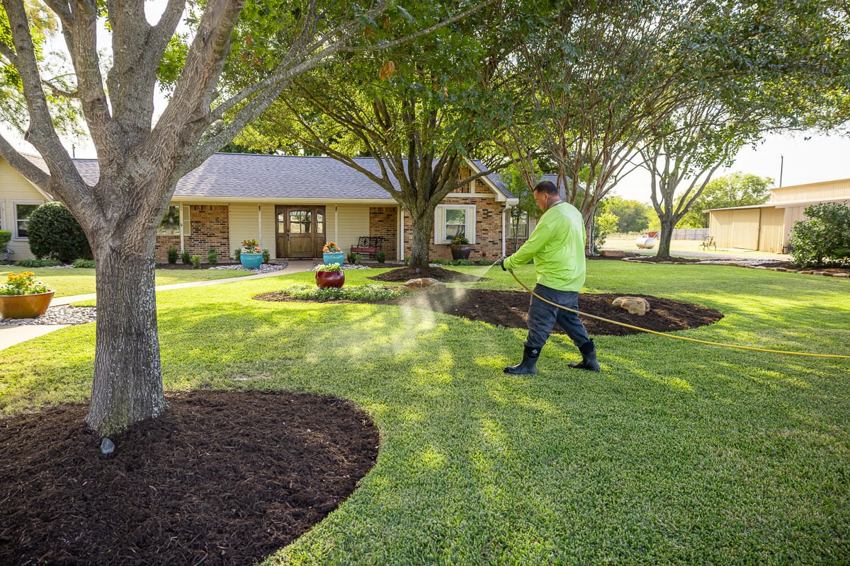 Crew lawn care treatment spraying green lawn 4