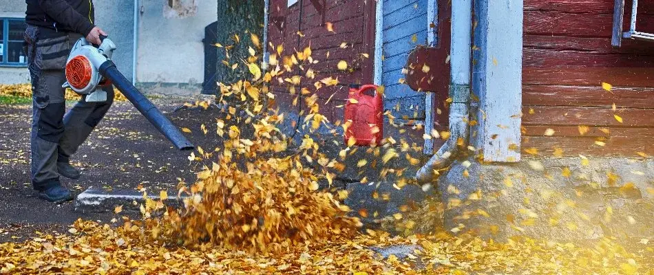 Blog Blowing Leaves