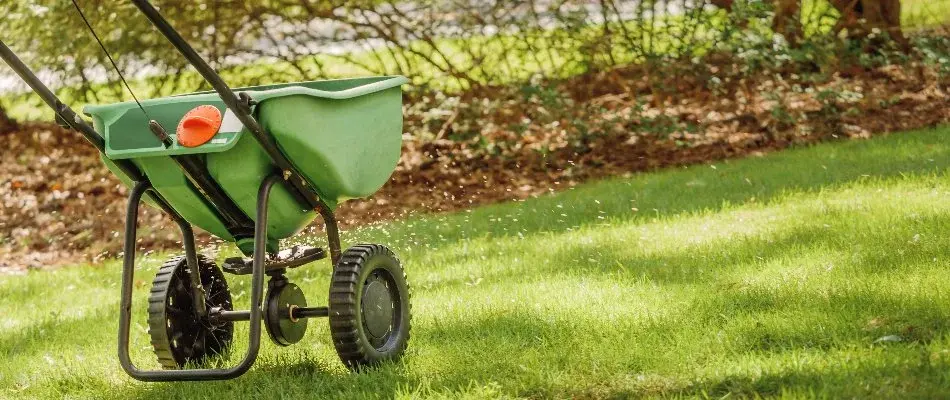 Blog Granular Fertilizer For Lawn