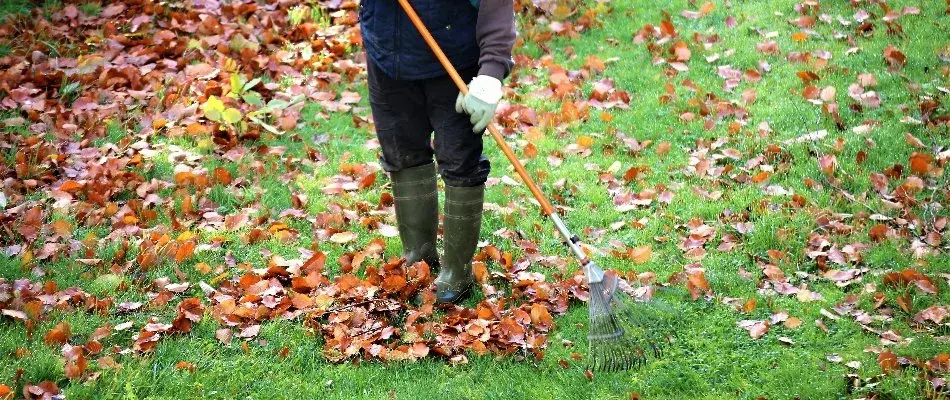 Blog Raking Leaves