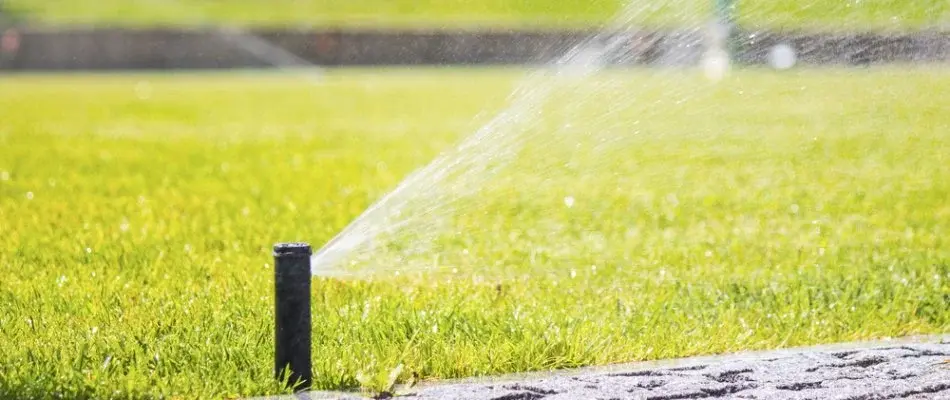 A sprinkler head in China Spring, TX, spraying water.