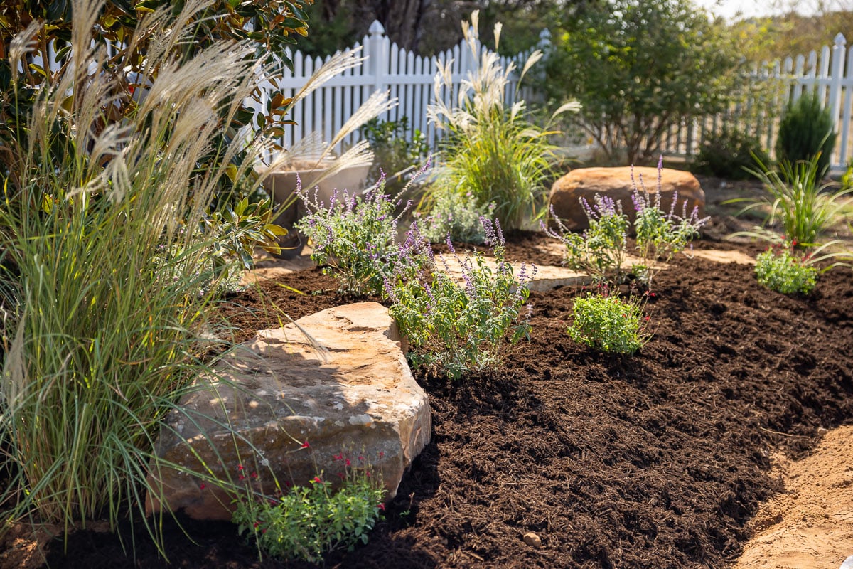 Landscape installation shrubs planted along fence fresh mulch 