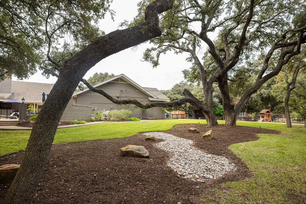 Residential landscape maintenance backyard large trees 1