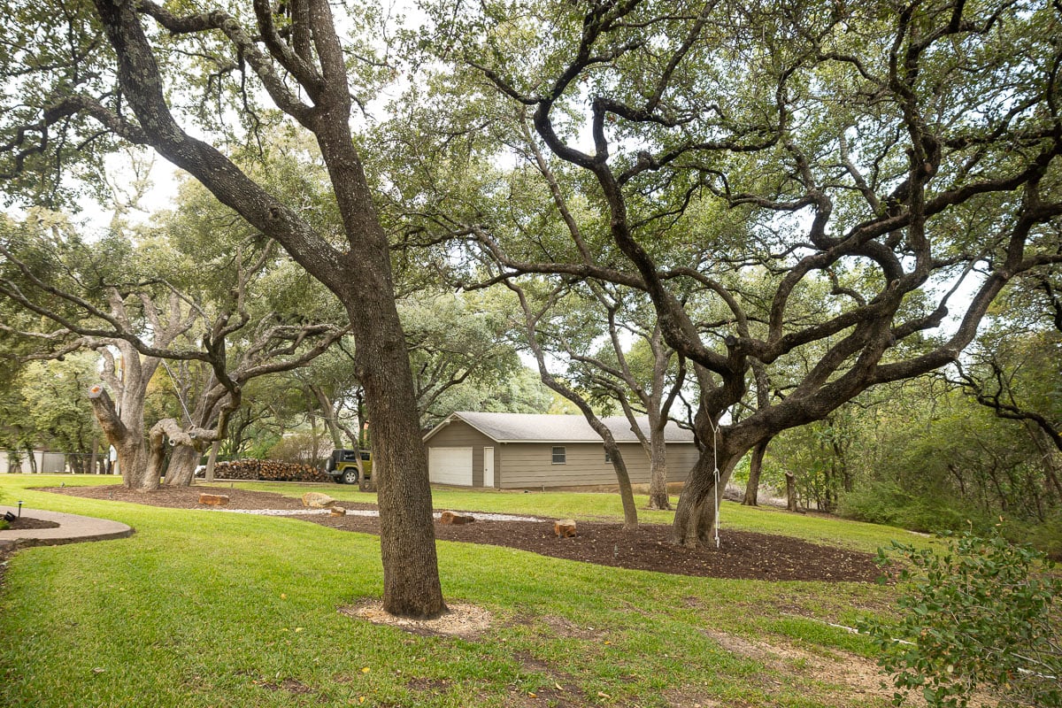 Residential landscape maintenance large trees 5 