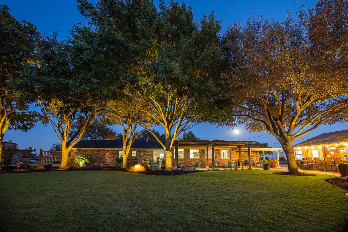 backyard pergola large trees outdoor up lighting trees green lawn 