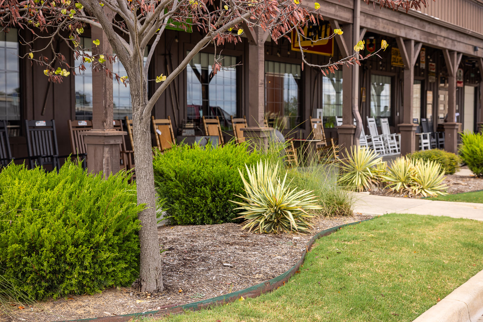 commercial landscaping beds 5