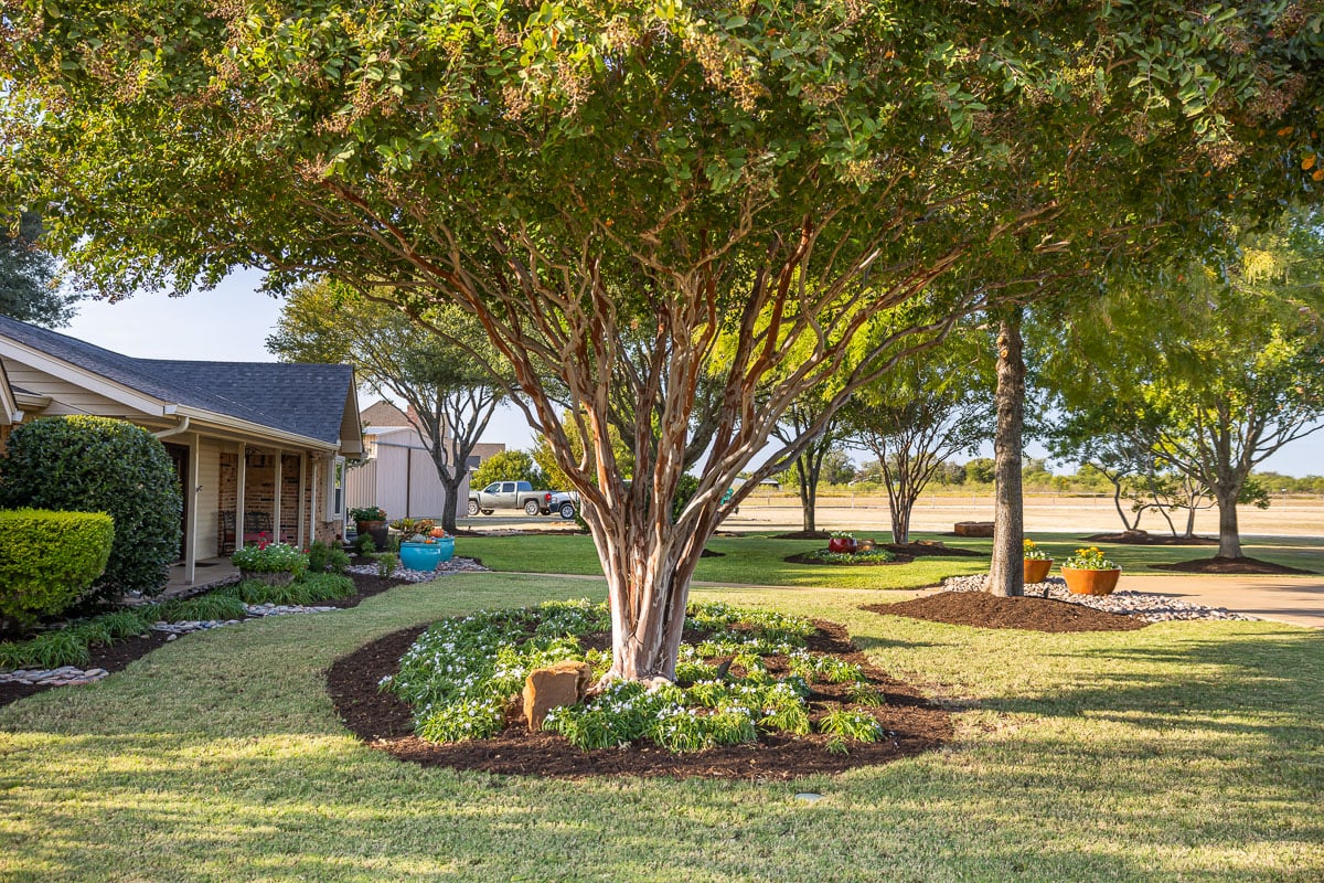 front of house green lawn landscape beds 