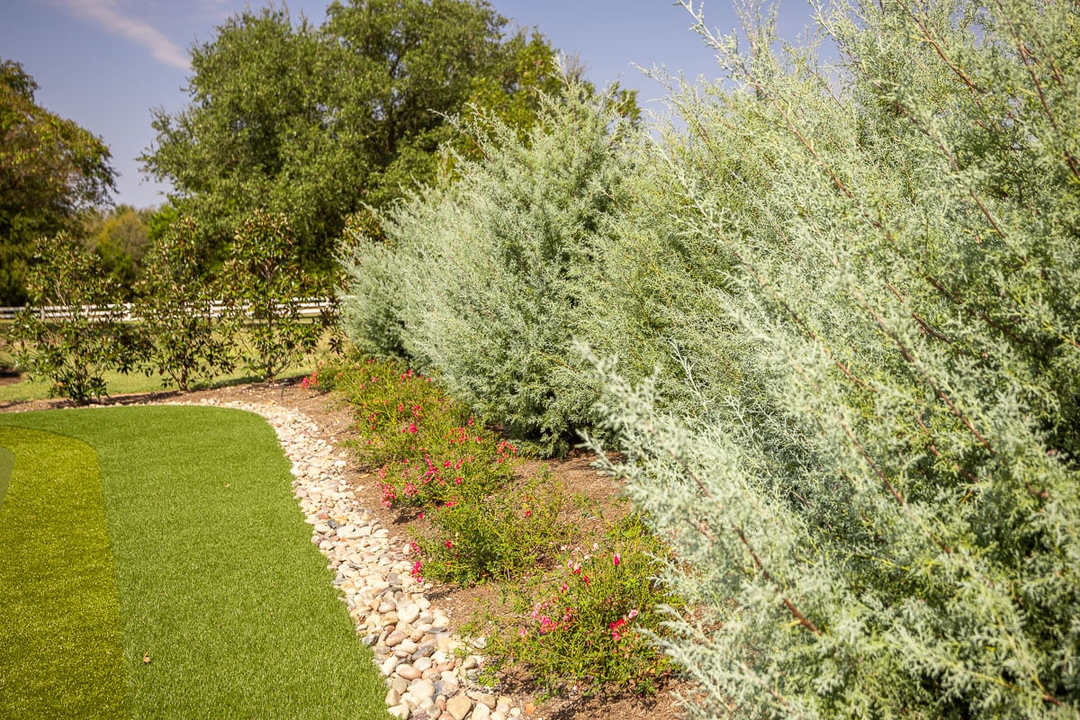 landscape beds along putting green artificial turf backyard 