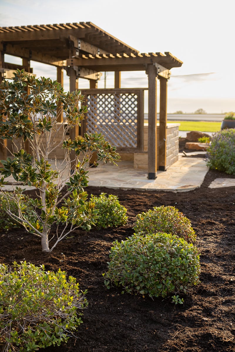 patio, shade trellis fresh mulch plants landscaping